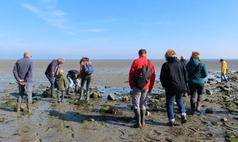 Slikkentocht Kattendijkse Plaat - Oosterschelde