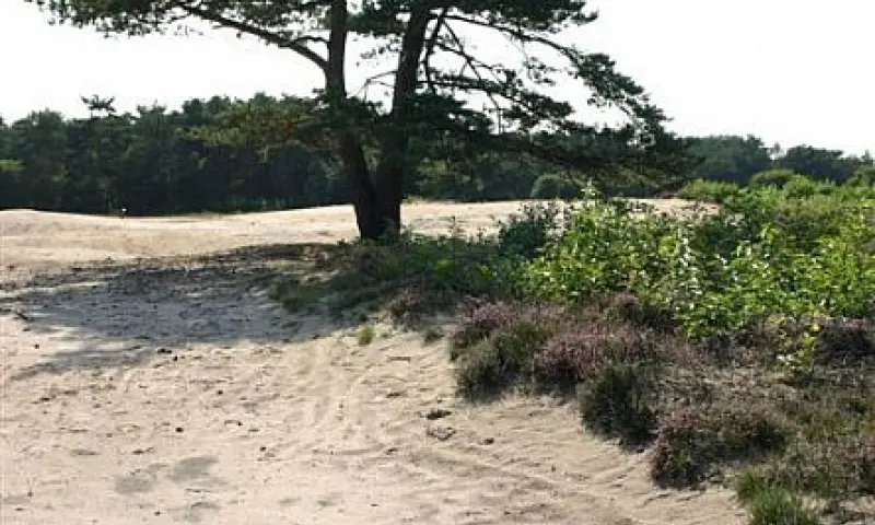 wandelen