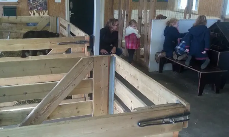 Kinderen bij de geiten