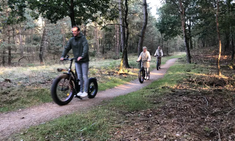 NEXT Stepverhuur bosfoto