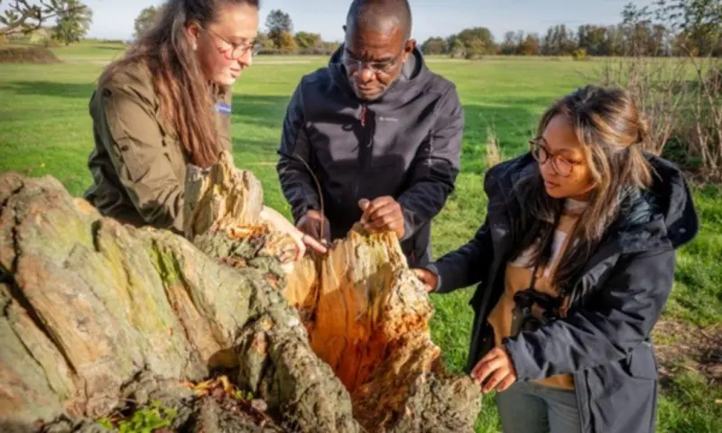 Op pad met de boswachter - Sint-Pietersberg (Maastricht)