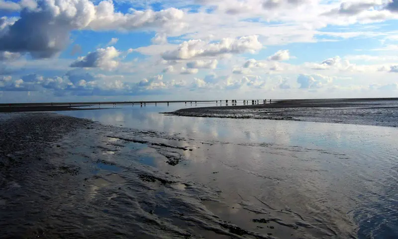 Wadden