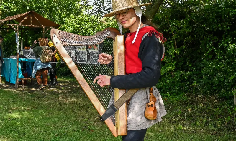 Harpist Bas van Haastregt