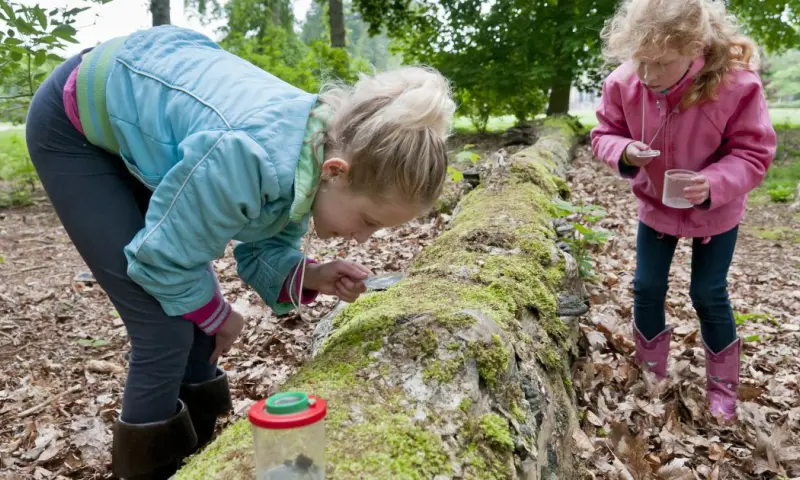 Duindetective: speuren naar sporen (6+)