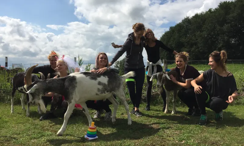 Activiteiten met geiten