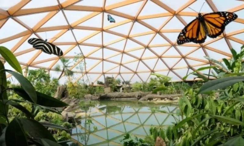 Dierentuin Rotterdam