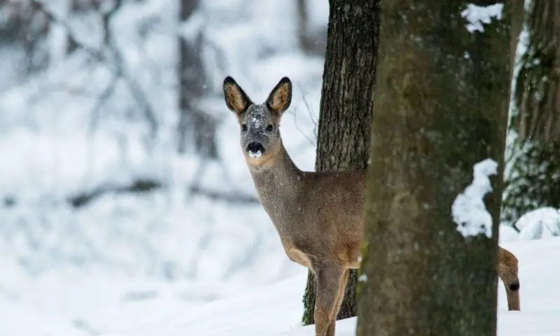 Met de gids op stap in Februari