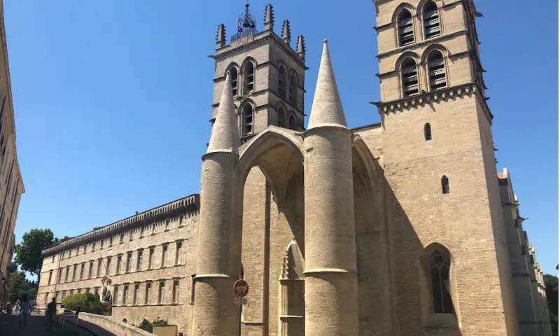Speurtocht Montpellier