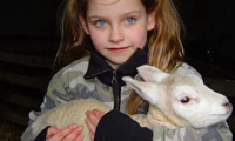Kind met schaap