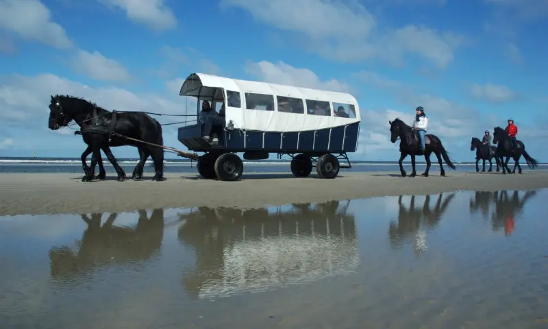 Huifkar op het strand