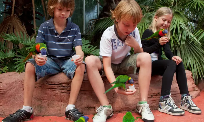 Kinderen in het park
