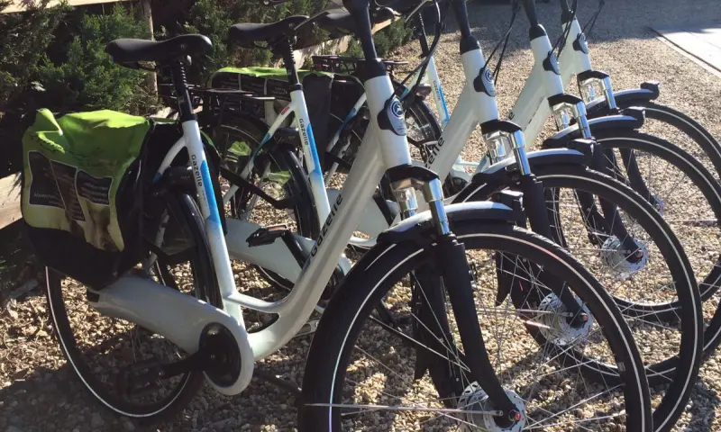 Fietsen in de Veluwe