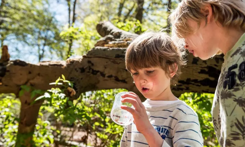 OERRR Bossafari en broodje bakken met de boswachter in 's-Graveland