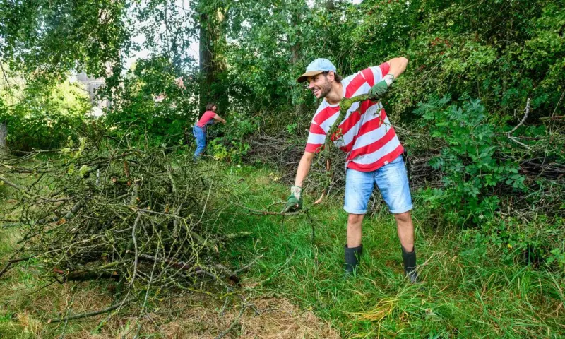 Kom helpen bij de Natuurwerkdagen in de Kaapse Bossen