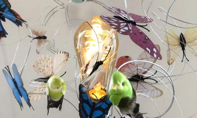 Fladderende Vogels en Vlinders