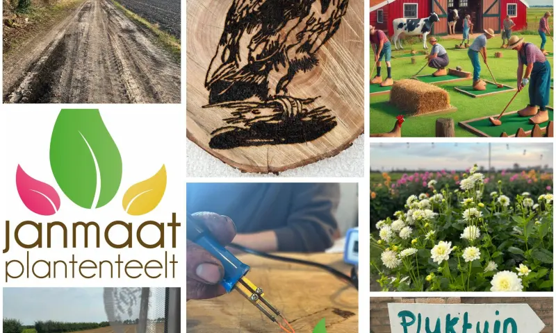 Overzicht activiteiten