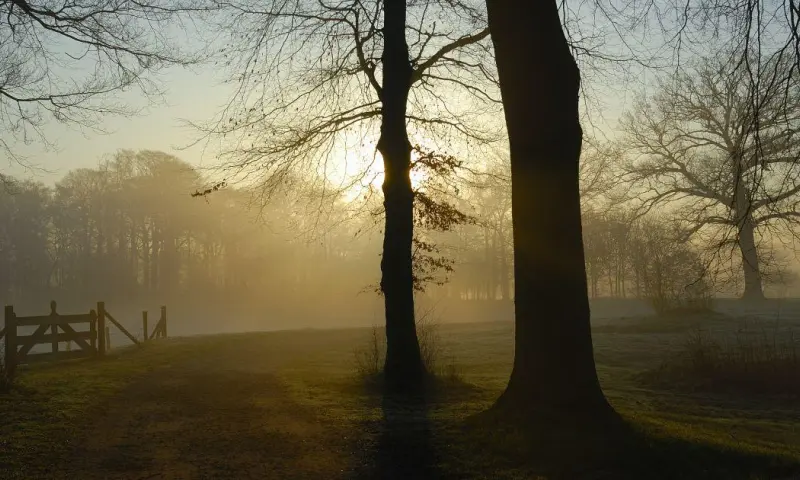 Dauwtrappen op de 's-Gravelandse Buitenplaatsen - volwassenen