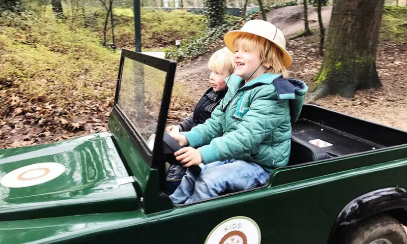 Kinderen in de auto