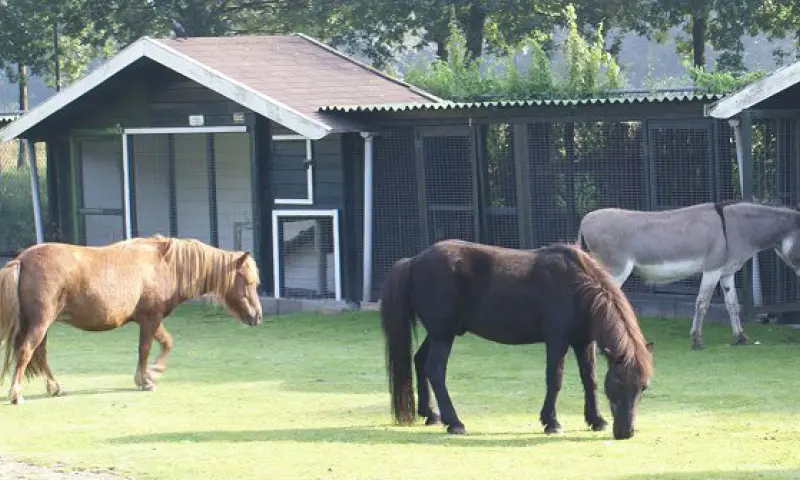 Kinderboerderij De Veldhoeve