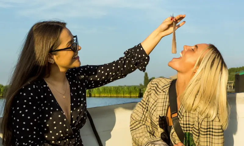 Bezoeker happen haring