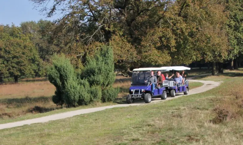 Elektrokartocht Buurserzand