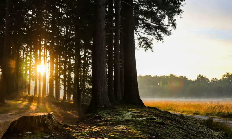 Dauwtrappen met ontbijt op De Slotplaats