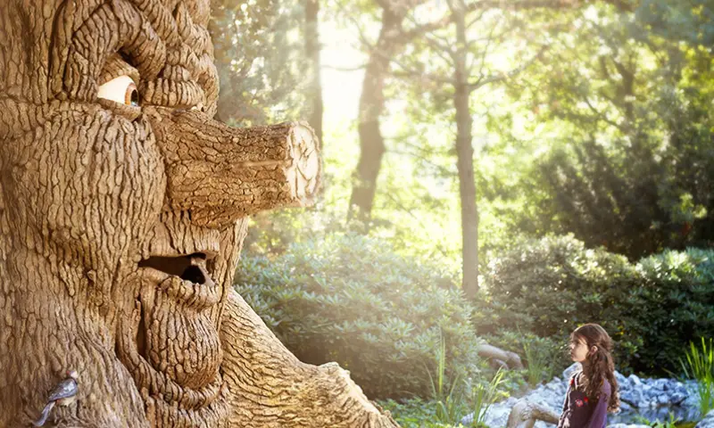 Sprookjesboom in het sprookjesbos