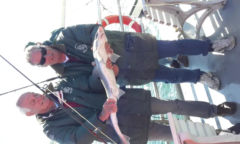 Bezoekers hebben haai gevangen