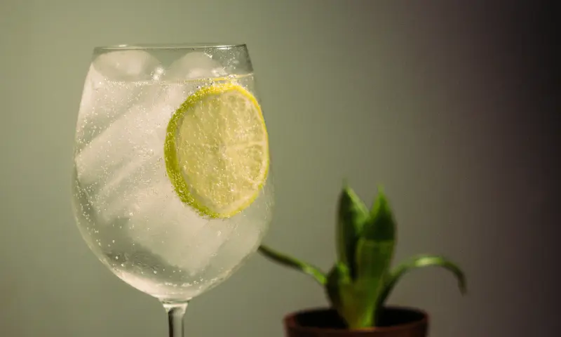 Gin Tonic