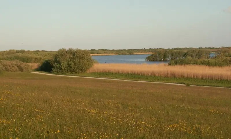 Struinen door de duinen - November Wandelmaand