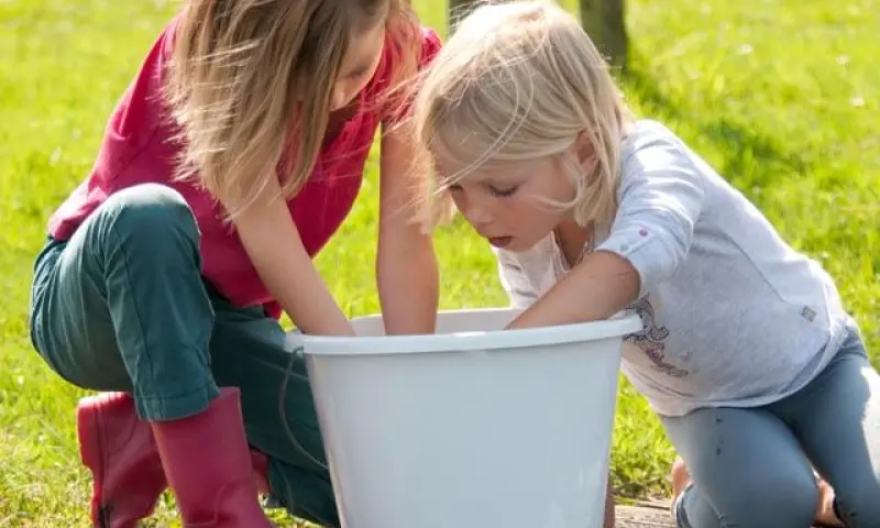 OERRR waterbeestjes vangen Dwingelderveld