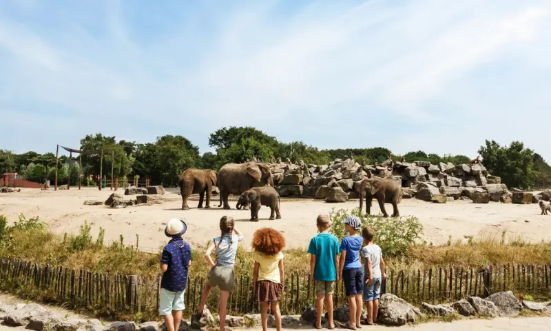 Safaripark Beekse Bergen