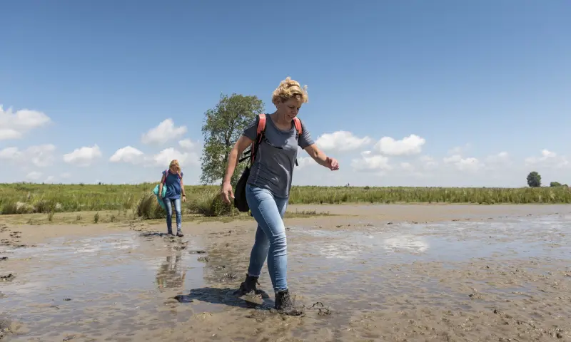 Struinen op Tiengemeten: je mag hier van de paden af!