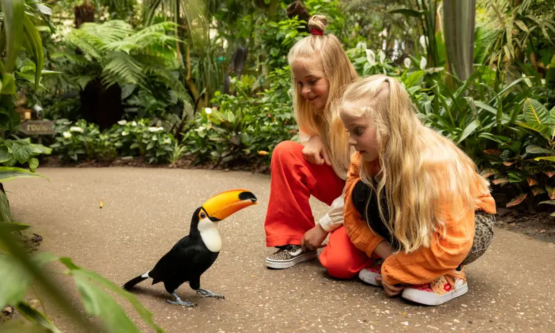 Meivakantie in Pantropica