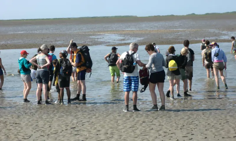 wadlopen