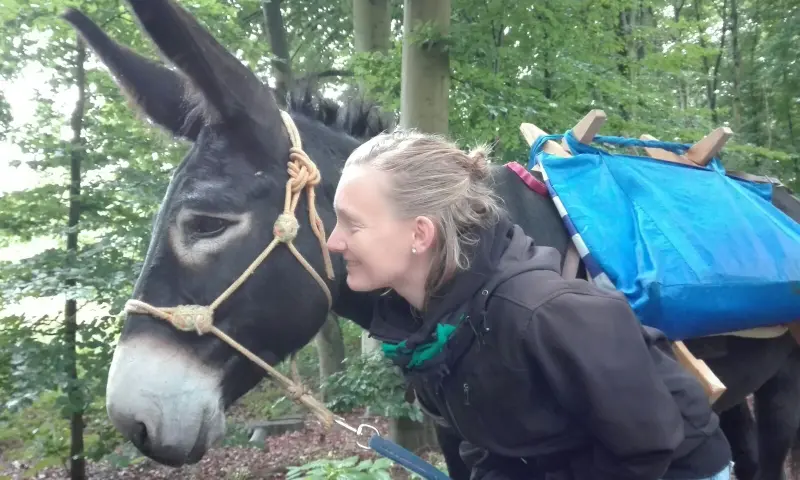 Met ezels wandelen
