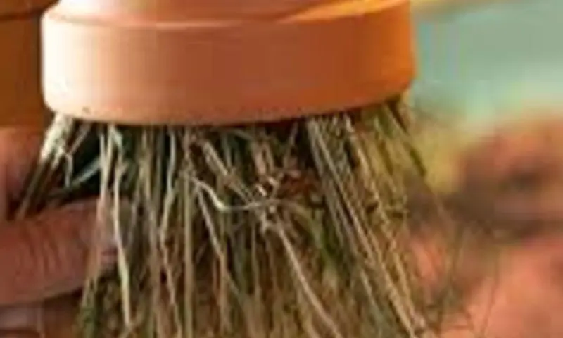 OERRR Insectenpot maken