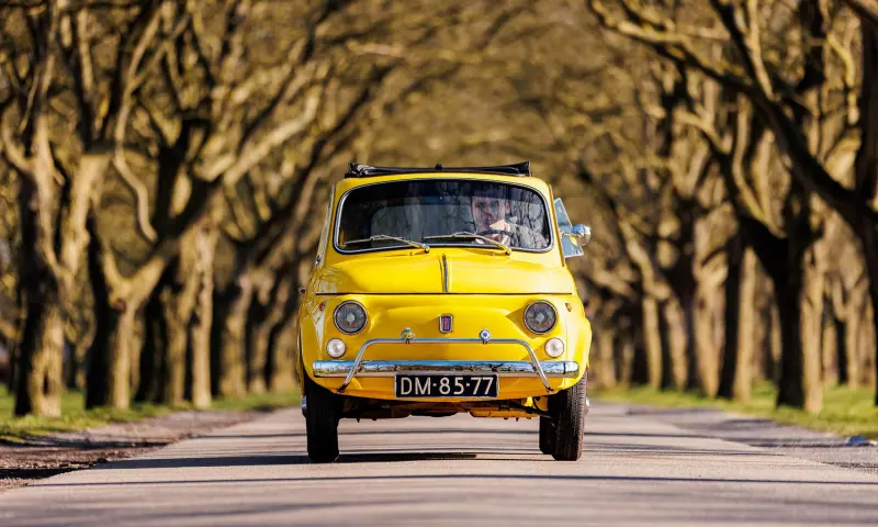 Klassieke Fiat 500's