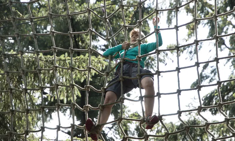 Vangnet in het klimbos