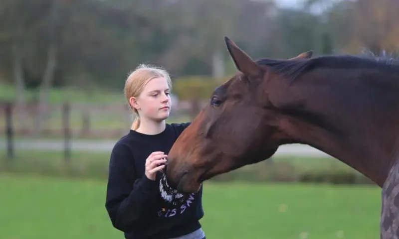 Sigrid S Paardencoach