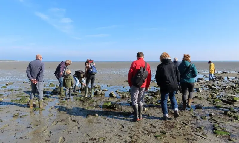 Slikkentocht Kattendijkse Plaat - Oosterschelde