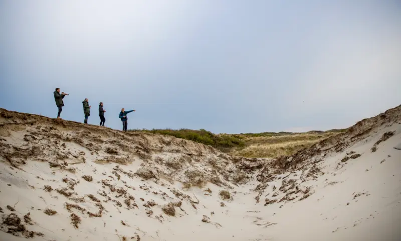 Folkert met workshop-deelnemers op een duin