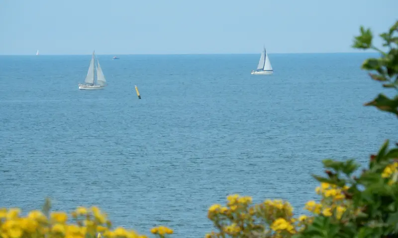 Fietsen met Haagse stadsgids