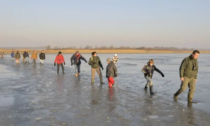 Beleef de ongerepte natuur aan de rand van het Veerse Meer