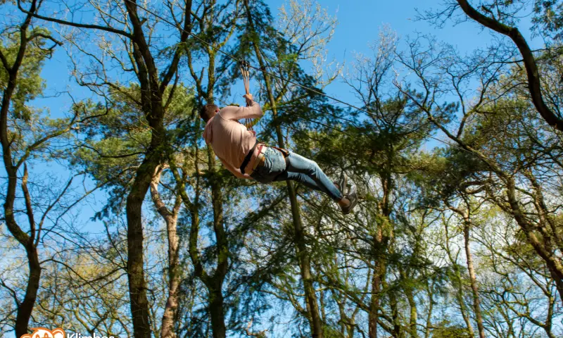 Klimmen in het bos