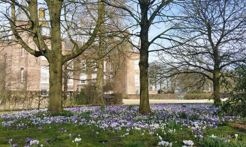 Bomen met Slot op achtergrond
