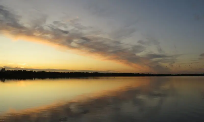 Rust en ruimte vaartocht Naardermeer