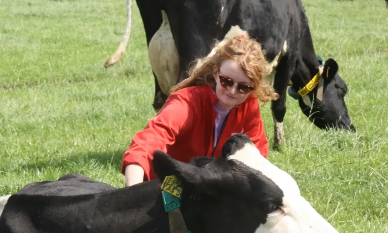 Heerlijk koe knuffelen