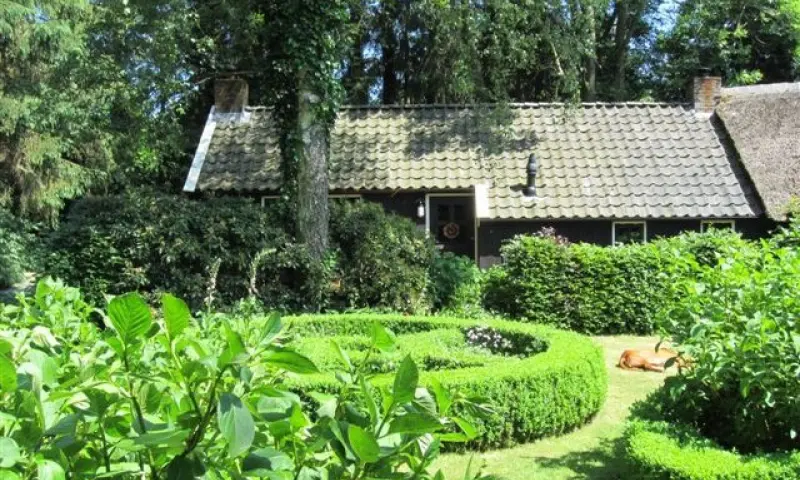 Bed and breakfast