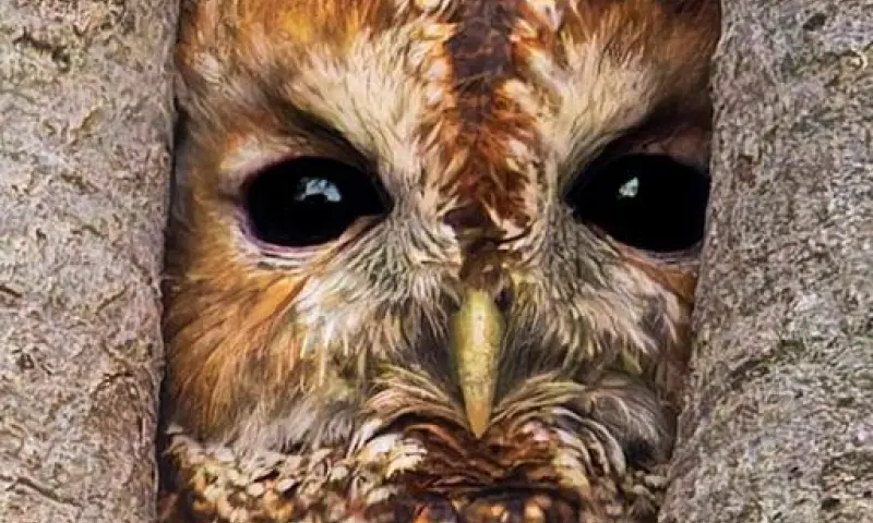 OERRR (3 t/m 6) Verhalen vertellen voor de kleintjes